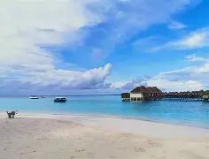 马尔代夫队突飞猛进,逆袭之路潜力无限的简单介绍 马尔代夫队突飞猛进,逆袭之路潜力无限的简单介绍